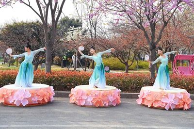 又是一年赏樱时！第十届中国（鹤壁）樱花季启幕 剧本活动